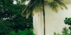 licenciamento ambiental e compliance