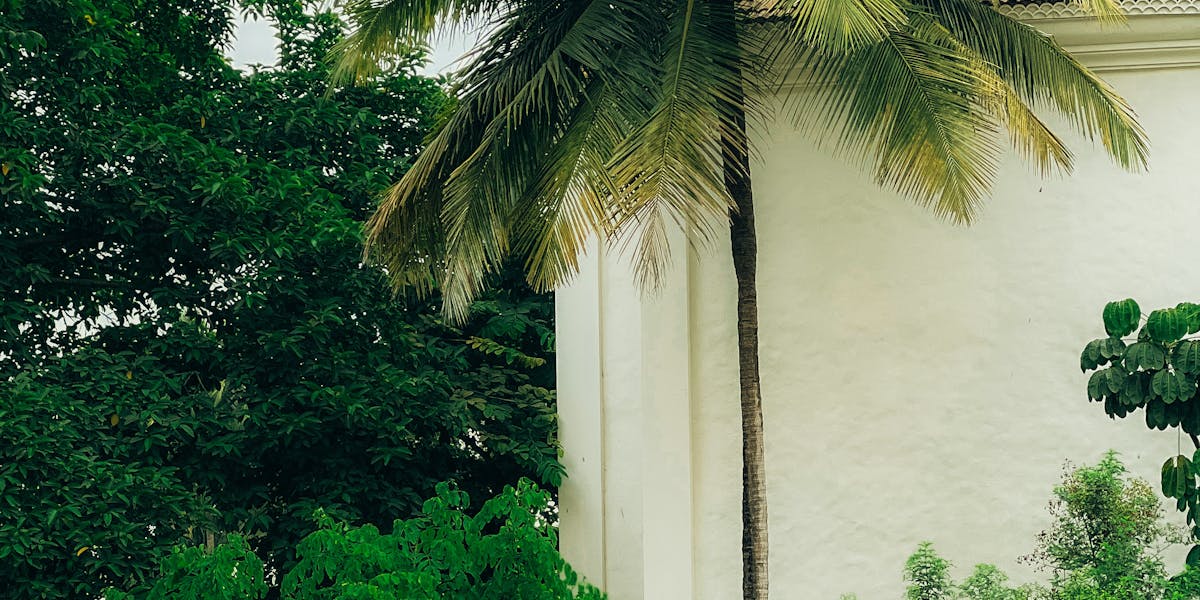 licenciamento ambiental e compliance